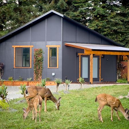 New, Modern, Country-Feel, Close To Arcata Exteriér fotografie