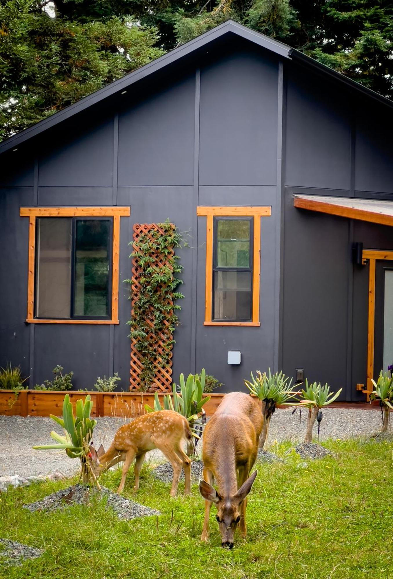 New, Modern, Country-Feel, Close To Arcata Exteriér fotografie